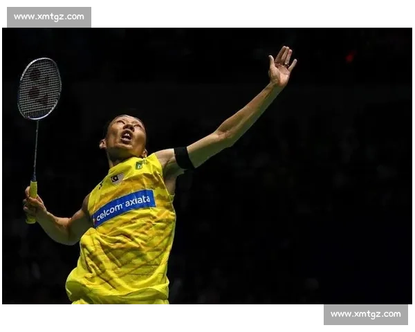 李宗伟落泪告别，双蔚组合遗憾收官！